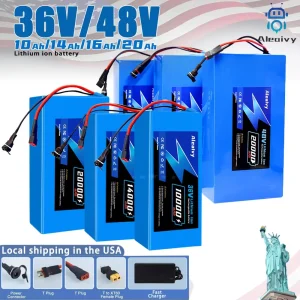 36V 48V Electric Bike Lithium Battery Pack for Bicycle Scooter Motorcycle with Charger